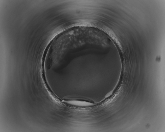 X0000097990845200804021007