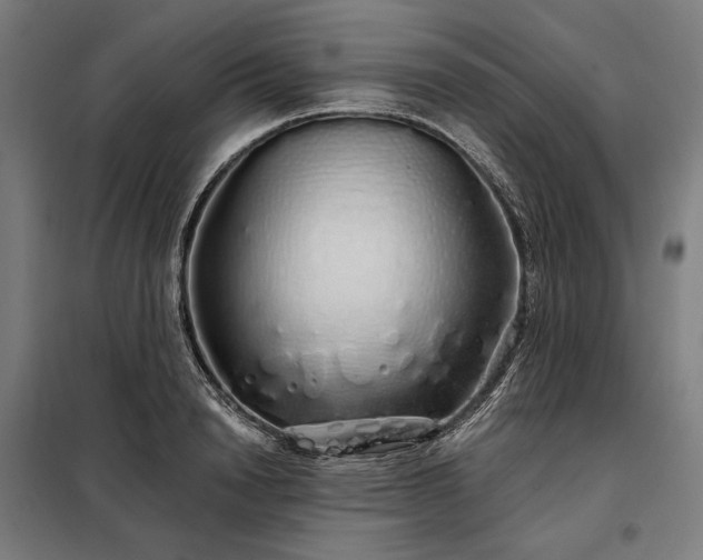 X0000097990846200804021007