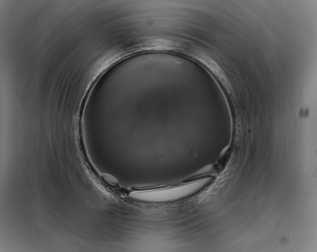 X0000097990850200804021007