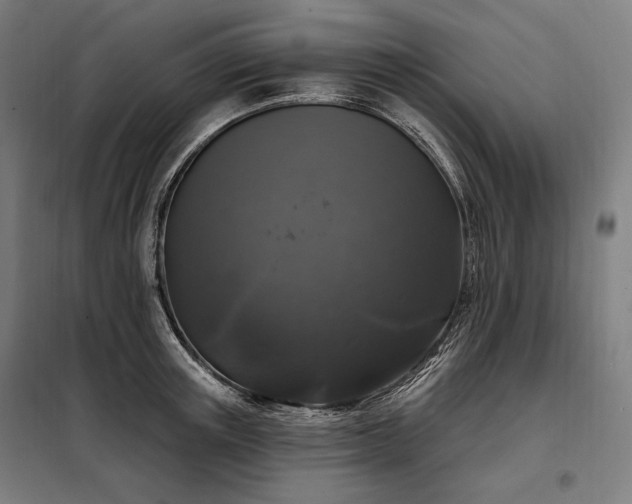 X0000097990851200804021007