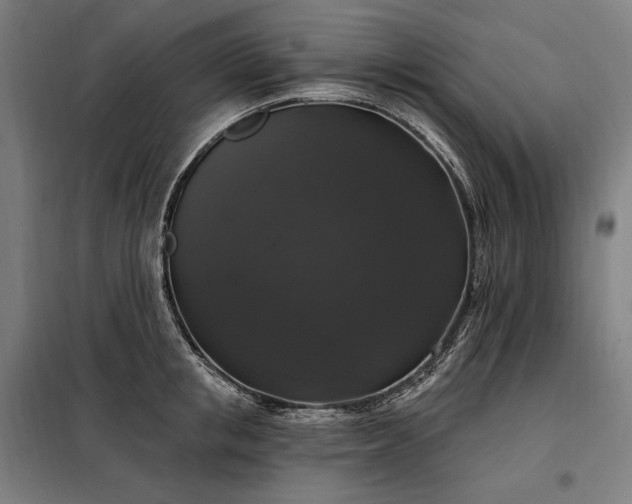 X0000097990853200804021007
