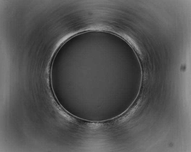 X0000097990854200804021007