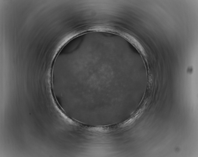 X0000097990855200804021007