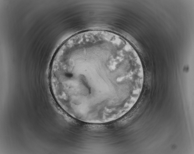 X0000097990856200804021007