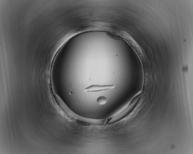 X0000097990860200804021007