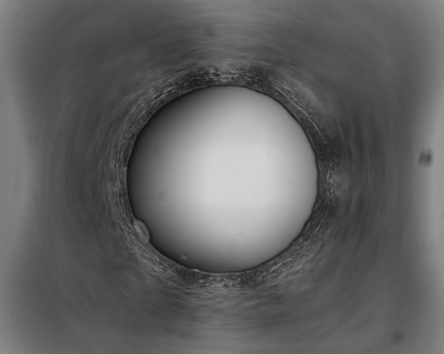 X0000097990865200804021006
