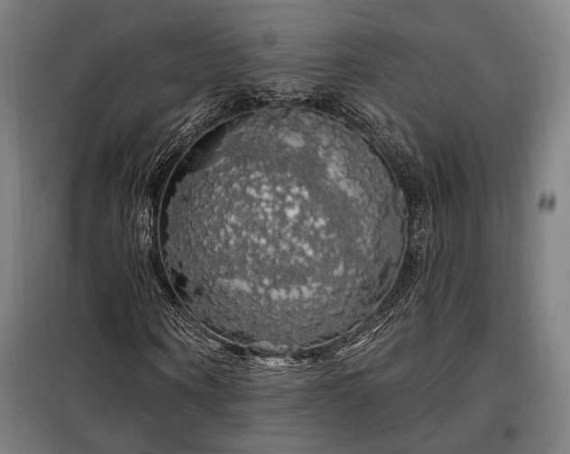 X0000097990866200804021006