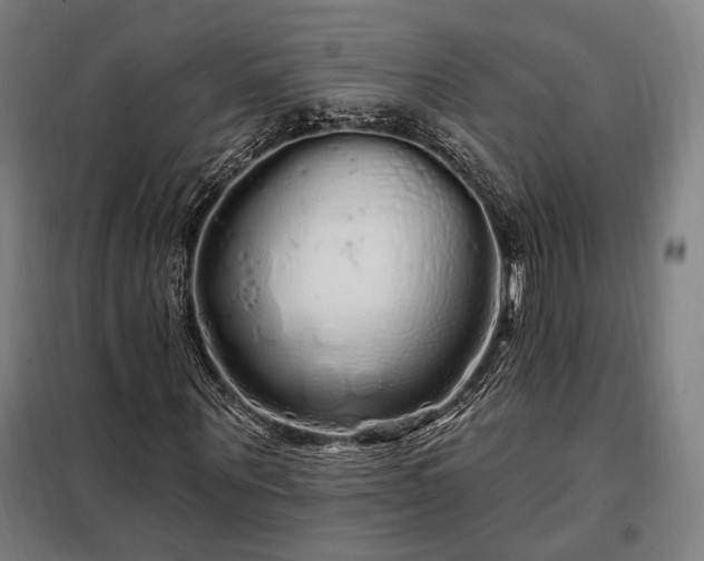 X0000097990867200804021006