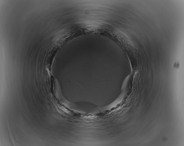 X0000097990868200804021006