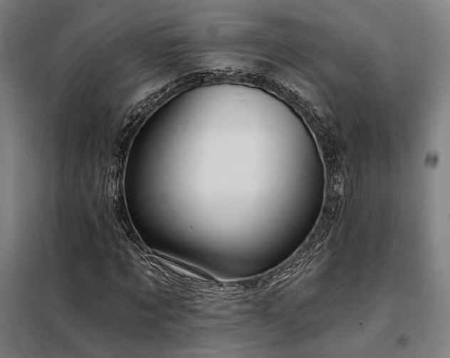 X0000097990869200804021006