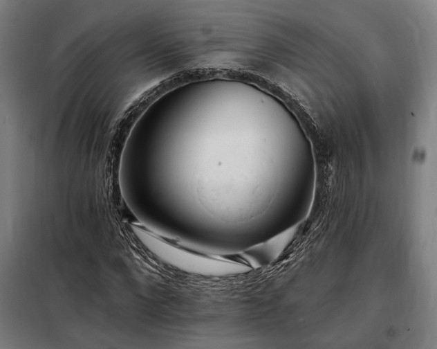X0000097990872200804021006