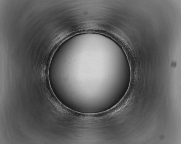 X0000097990873200804021006