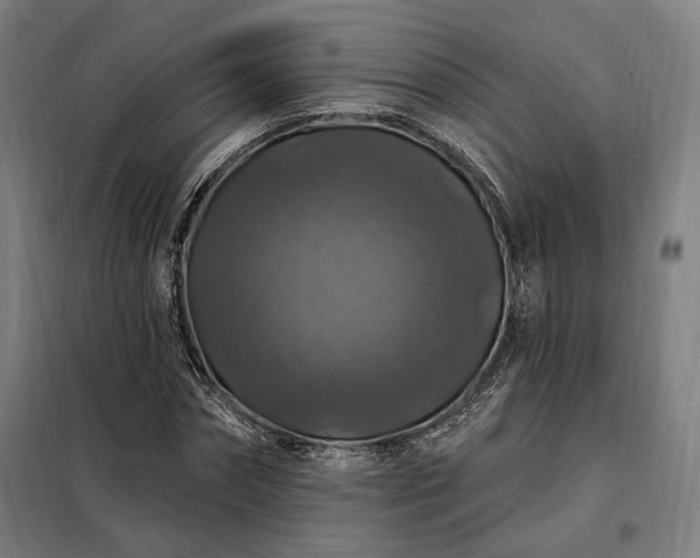 X0000097990874200804021006