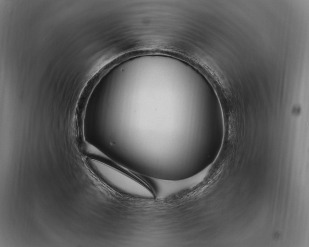 X0000097990876200804021006