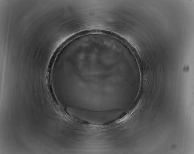 X0000097990879200804021006