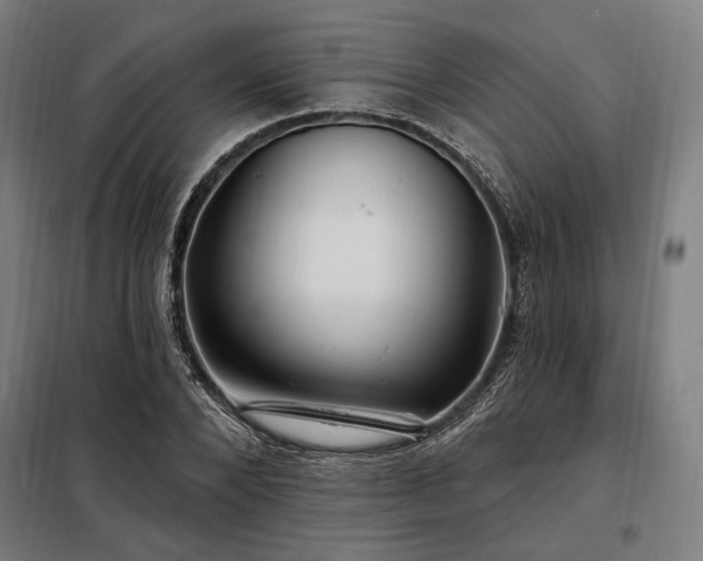 X0000097990880200804021006
