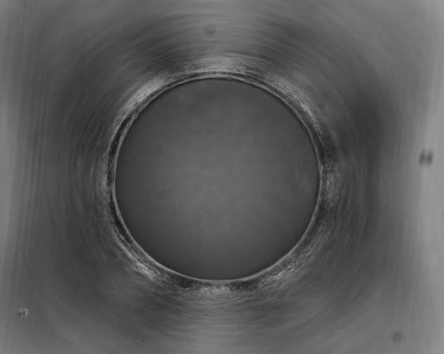 X0000097990882200804021006
