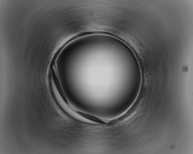 X0000097990885200804021006