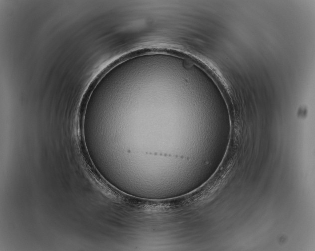 X0000097990887200804021006