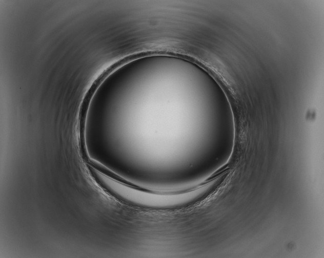 X0000097990888200804021006