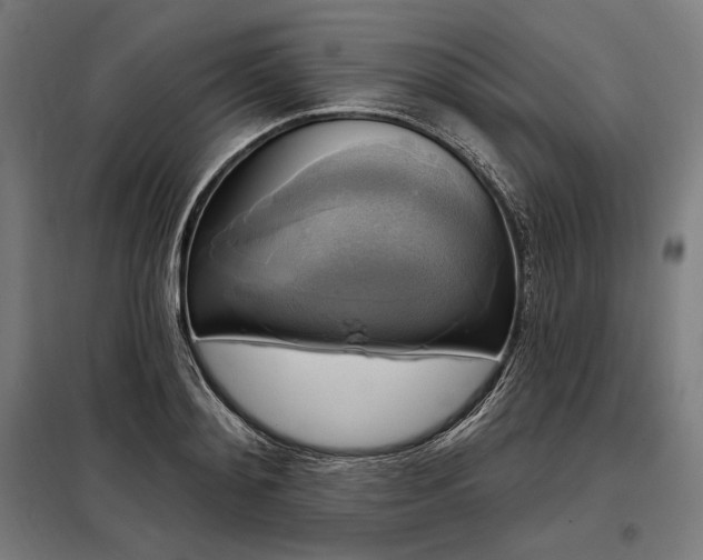 X0000097990892200804021006