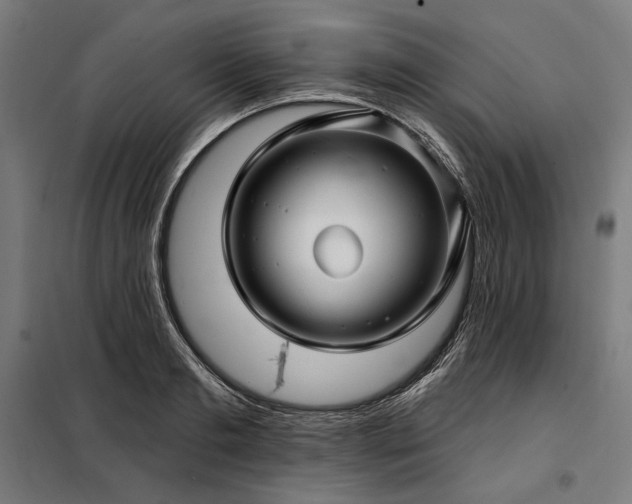 X0000097990893200804021006