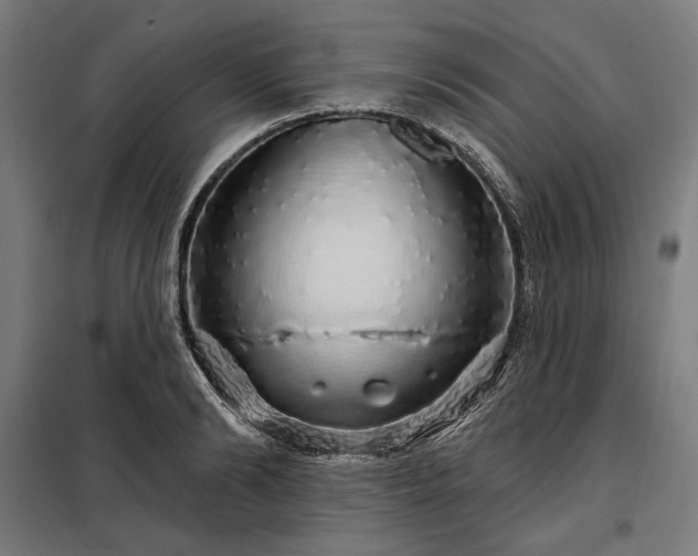 X0000097990894200804021006