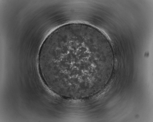 X0000097990895200804021006