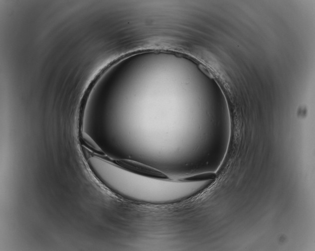 X0000097990896200804021006