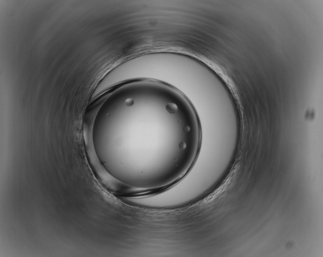X0000097990897200804021006