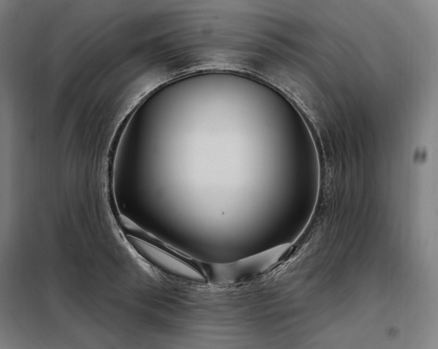 X0000097990898200804021006