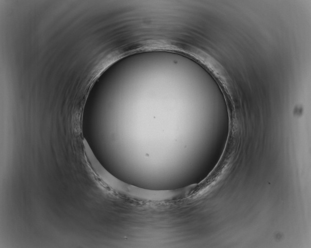 X0000097990905200804021006