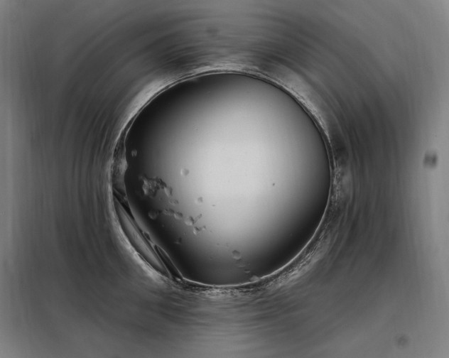 X0000097990906200804021006
