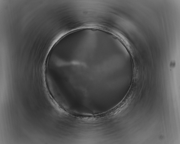 X0000097990907200804021006