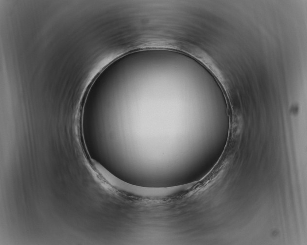 X0000097990909200804021006