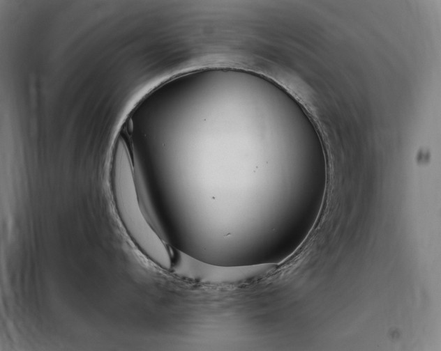 X0000097990912200804021006
