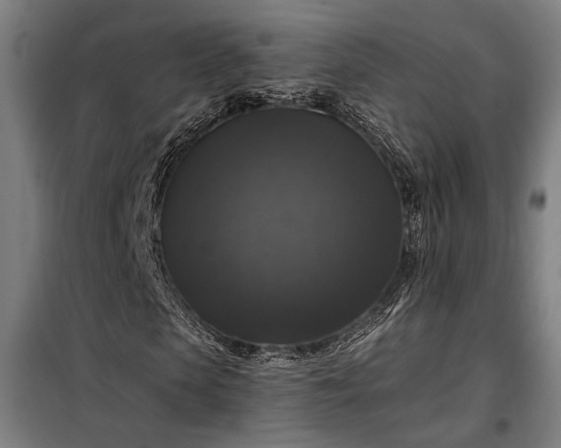 X0000097990913200804021005