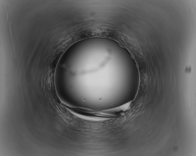 X0000097990914200804021005