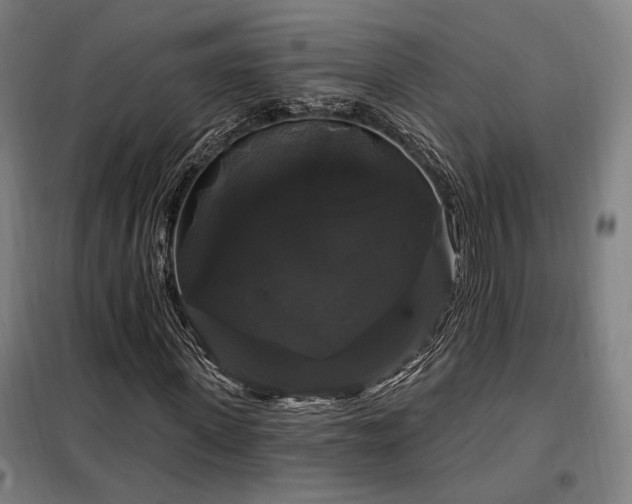 X0000097990915200804021005