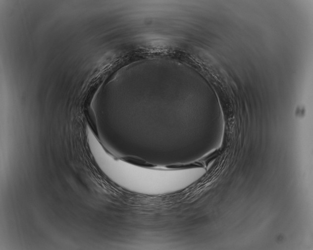 X0000097990916200804021005