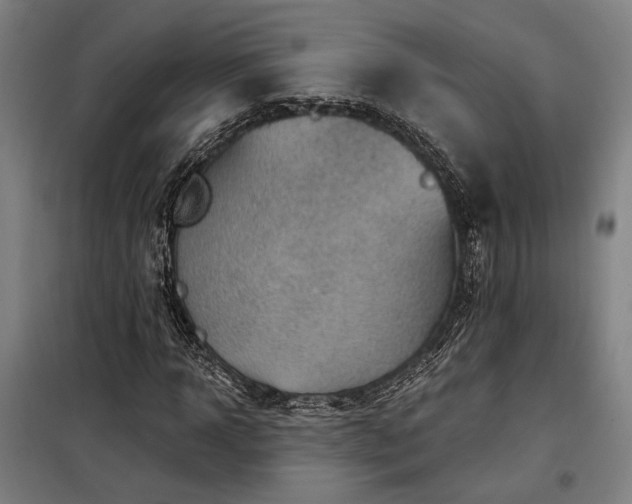 X0000097990918200804021005