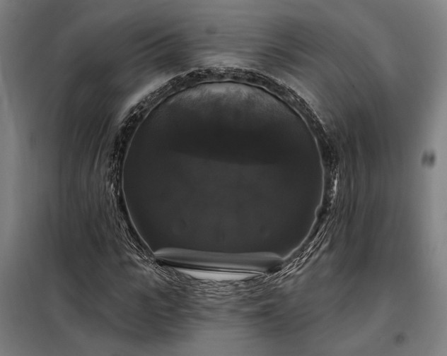 X0000097990919200804021005