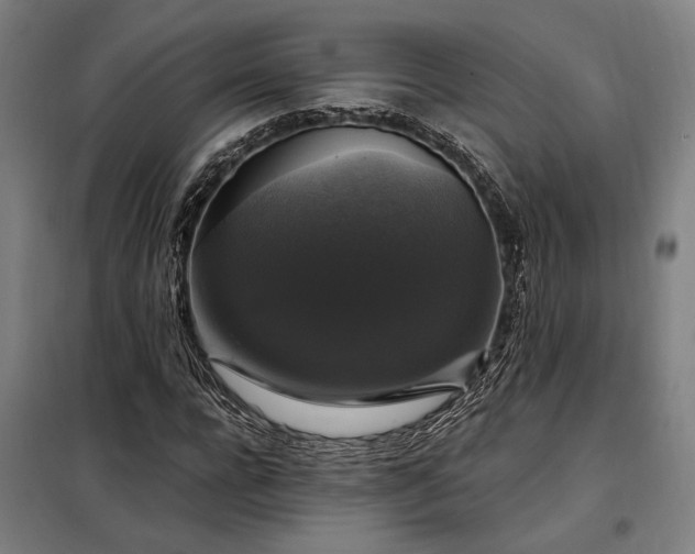X0000097990920200804021005