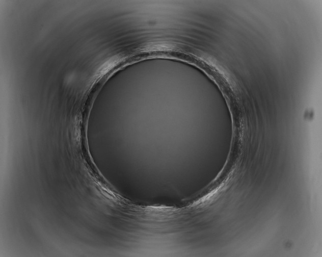 X0000097990921200804021005