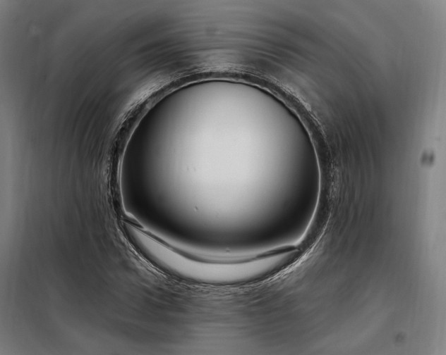X0000097990922200804021005