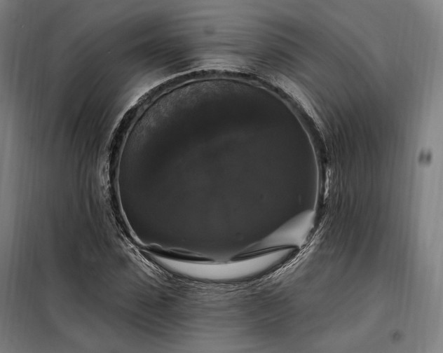 X0000097990923200804021005