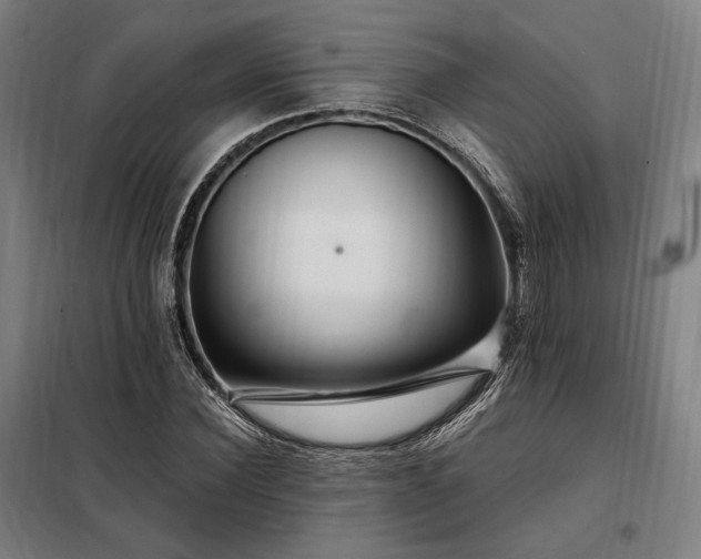 X0000097990924200804021005
