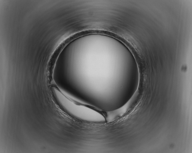 X0000097990926200804021005