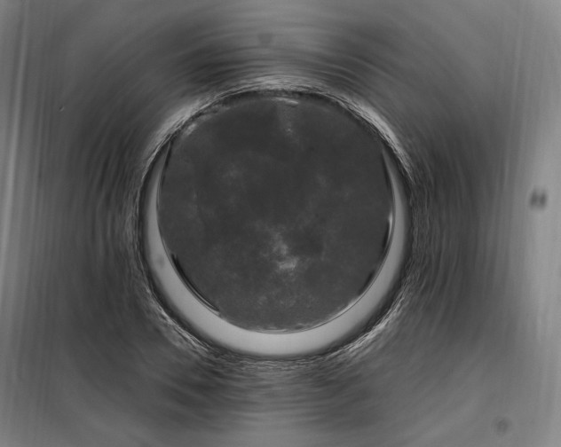 X0000097990930200804021005