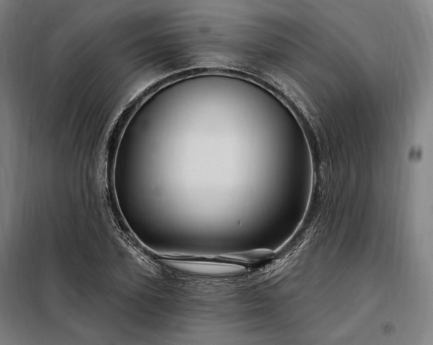 X0000097990931200804021005
